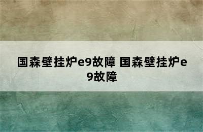 国森壁挂炉e9故障 国森壁挂炉e9故障